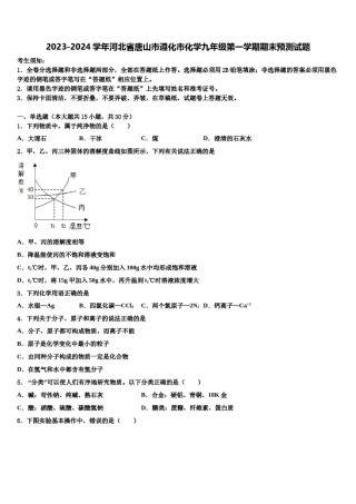 2023-2024学年河北省唐山市遵化市化学九年级第一学期期末预测试题含解析.doc
