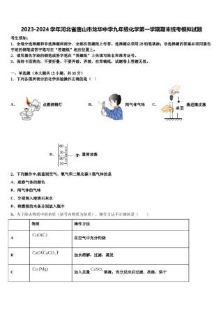 2023-2024学年河北省唐山市龙华中学九年级化学第一学期期末统考模拟试题含解析.doc