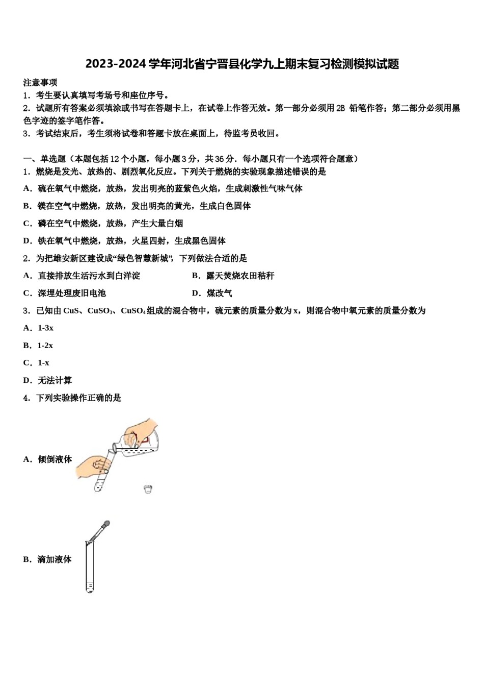 2023-2024学年河北省宁晋县化学九上期末复习检测模拟试题含解析.doc_第1页
