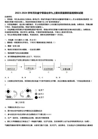 2023-2024学年河北省宁晋县化学九上期末质量跟踪监视模拟试题含解析.doc