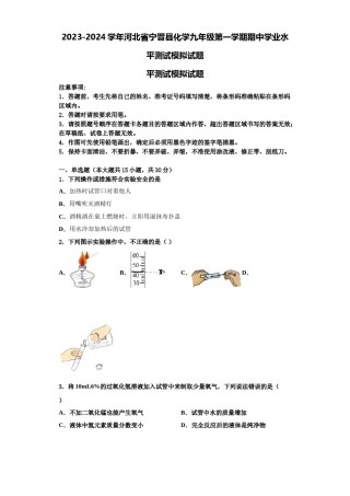 2023-2024学年河北省宁晋县化学九年级第一学期期中学业水平测试模拟试题含解析.doc