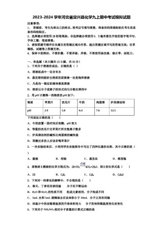 2023-2024学年河北省定兴县化学九上期中考试模拟试题含解析.doc