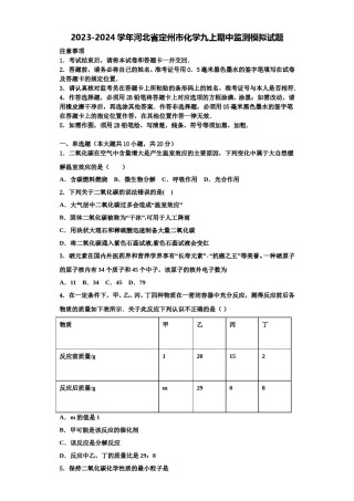 2023-2024学年河北省定州市化学九上期中监测模拟试题含解析.doc
