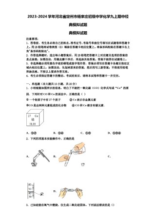 2023-2024学年河北省定州市杨家庄初级中学化学九上期中经典模拟试题含解析.doc