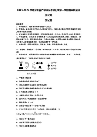 2023-2024学年河北省广宗县九年级化学第一学期期中质量检测试题含解析.doc