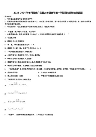 2023-2024学年河北省广宗县九年级化学第一学期期末达标检测试题含解析.doc