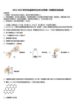 2023-2024学年河北省廊坊市化学九年级第一学期期末经典试题含解析.doc