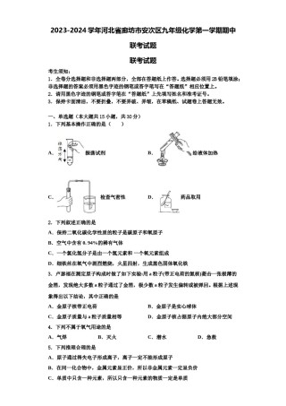 2023-2024学年河北省廊坊市安次区九年级化学第一学期期中联考试题含解析.doc