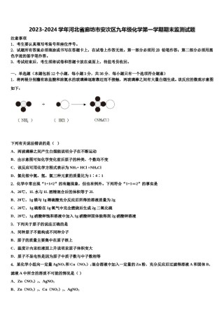 2023-2024学年河北省廊坊市安次区九年级化学第一学期期末监测试题含解析.doc