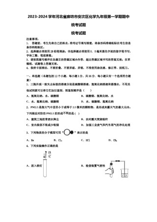 2023-2024学年河北省廊坊市安次区化学九年级第一学期期中统考试题含解析.doc