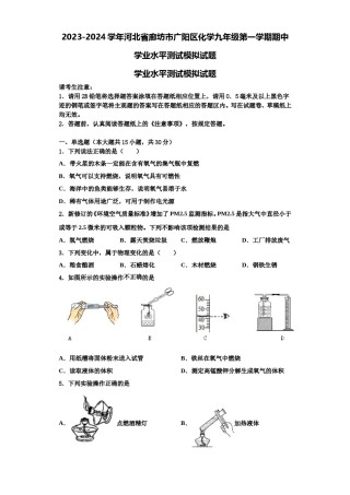 2023-2024学年河北省廊坊市广阳区化学九年级第一学期期中学业水平测试模拟试题含解析.doc