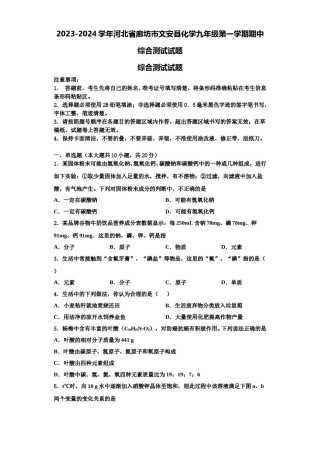 2023-2024学年河北省廊坊市文安县化学九年级第一学期期中综合测试试题含解析.doc