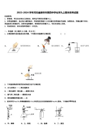 2023-2024学年河北省廊坊市第四中学化学九上期末统考试题含解析.doc