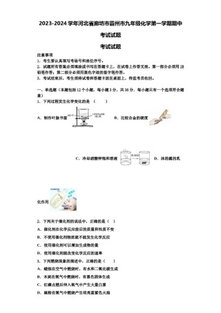 2023-2024学年河北省廊坊市霸州市九年级化学第一学期期中考试试题含解析.doc
