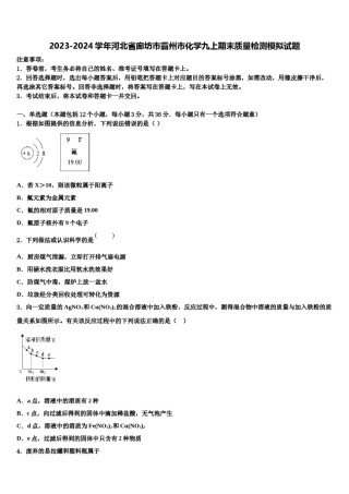 2023-2024学年河北省廊坊市霸州市化学九上期末质量检测模拟试题含解析.doc