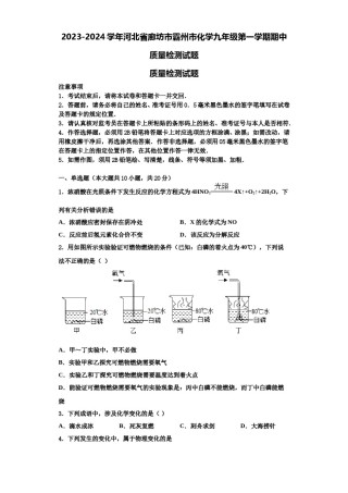 2023-2024学年河北省廊坊市霸州市化学九年级第一学期期中质量检测试题含解析.doc