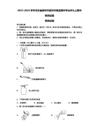 2023-2024学年河北省廊坊市霸州市南孟镇中学化学九上期中预测试题含解析.doc