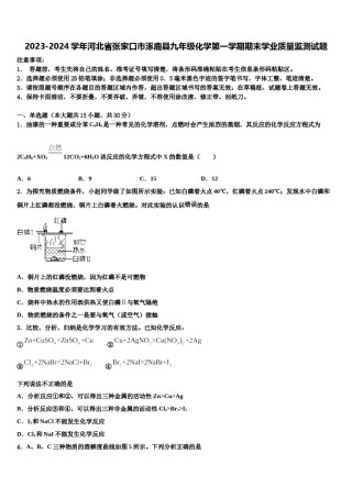 2023-2024学年河北省张家口市涿鹿县九年级化学第一学期期末学业质量监测试题含解析.doc