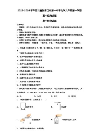 2023-2024学年河北省张家口市第一中学化学九年级第一学期期中经典试题含解析.doc
