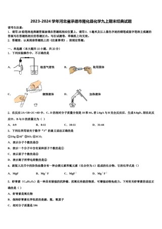 2023-2024学年河北省承德市隆化县化学九上期末经典试题含解析.doc