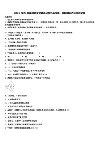 2023-2024学年河北省故城县化学九年级第一学期期末达标测试试题含解析.doc