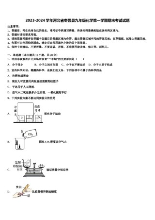 2023-2024学年河北省枣强县九年级化学第一学期期末考试试题含解析.doc