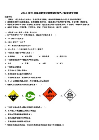 2023-2024学年河北省武邑中学化学九上期末联考试题含解析.doc