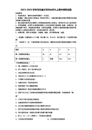2023-2024学年河北省沙河市化学九上期中调研试题含解析.doc