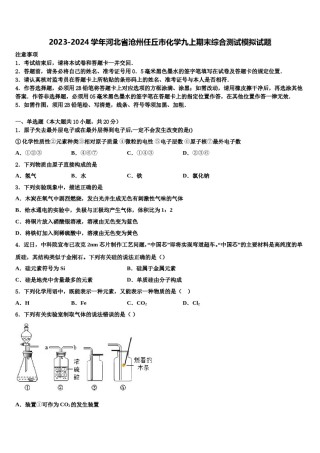 2023-2024学年河北省沧州任丘市化学九上期末综合测试模拟试题含解析.doc