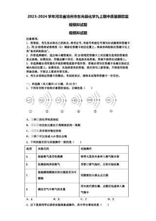 2023-2024学年河北省沧州市东光县化学九上期中质量跟踪监视模拟试题含解析.doc