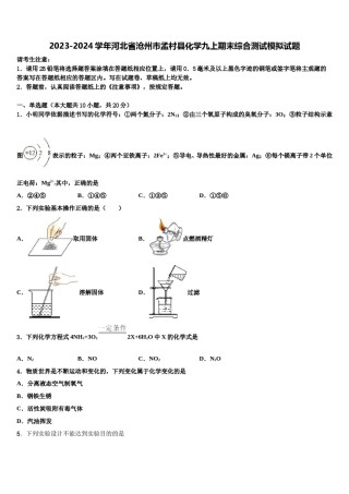 2023-2024学年河北省沧州市孟村县化学九上期末综合测试模拟试题含解析.doc