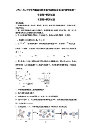 2023-2024学年河北省沧州市孟村回族自治县化学九年级第一学期期中预测试题含解析.doc