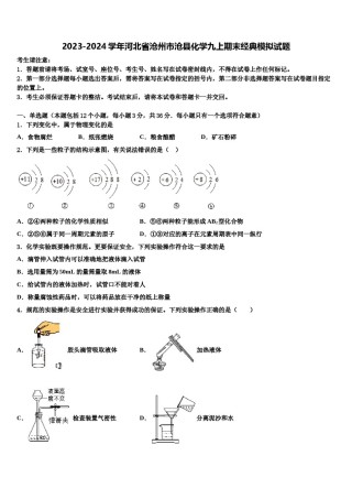 2023-2024学年河北省沧州市沧县化学九上期末经典模拟试题含解析.doc