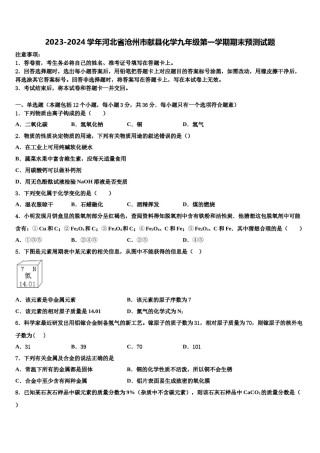 2023-2024学年河北省沧州市献县化学九年级第一学期期末预测试题含解析.doc