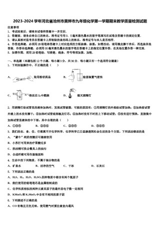 2023-2024学年河北省沧州市黄骅市九年级化学第一学期期末教学质量检测试题含解析.doc