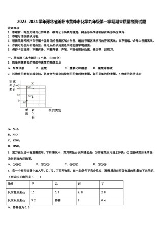 2023-2024学年河北省沧州市黄骅市化学九年级第一学期期末质量检测试题含解析.doc