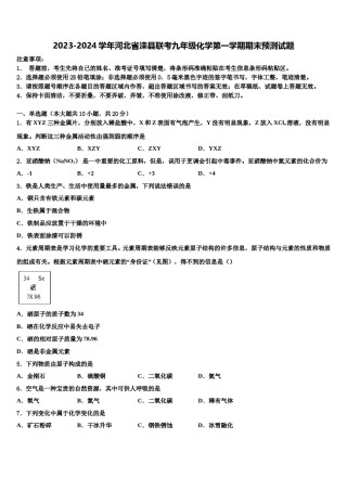 2023-2024学年河北省滦县联考九年级化学第一学期期末预测试题含解析.doc