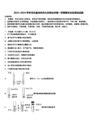 2023-2024学年河北省滦州市九年级化学第一学期期末达标测试试题含解析.doc