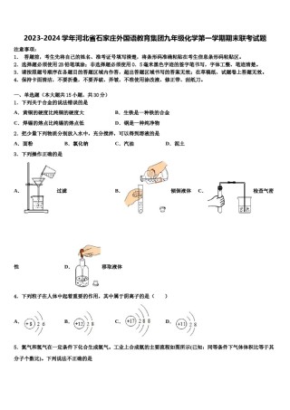 2023-2024学年河北省石家庄外国语教育集团九年级化学第一学期期末联考试题含解析.doc
