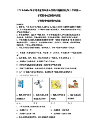 2023-2024学年河北省石家庄外国语教育集团化学九年级第一学期期中检测模拟试题含解析.doc