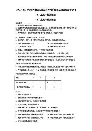 2023-2024学年河北省石家庄市井陉矿区贾庄镇区贾庄中学化学九上期中检测试题含解析.doc