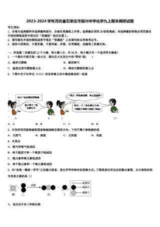 2023-2024学年河北省石家庄市复兴中学化学九上期末调研试题含解析.doc