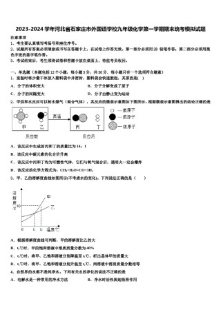 2023-2024学年河北省石家庄市外国语学校九年级化学第一学期期末统考模拟试题含解析.doc