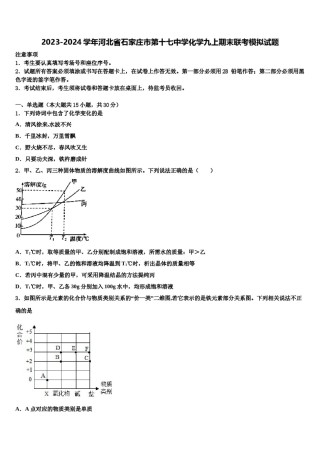 2023-2024学年河北省石家庄市第十七中学化学九上期末联考模拟试题含解析.doc