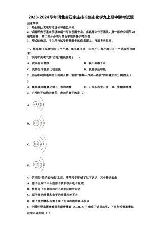 2023-2024学年河北省石家庄市辛集市化学九上期中联考试题含解析.doc