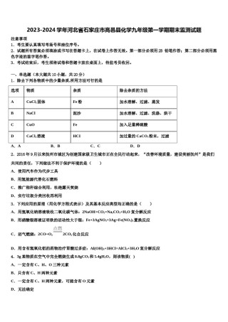 2023-2024学年河北省石家庄市高邑县化学九年级第一学期期末监测试题含解析.doc