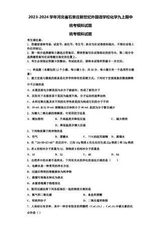 2023-2024学年河北省石家庄新世纪外国语学校化学九上期中统考模拟试题含解析.doc