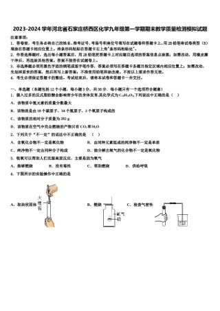 2023-2024学年河北省石家庄桥西区化学九年级第一学期期末教学质量检测模拟试题含解析.doc