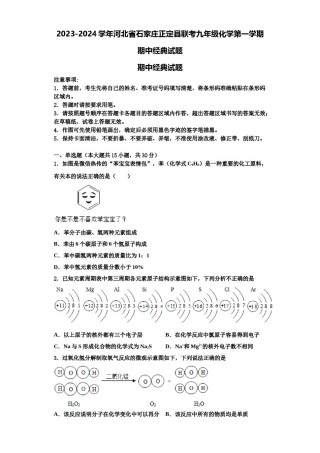 2023-2024学年河北省石家庄正定县联考九年级化学第一学期期中经典试题含解析.doc