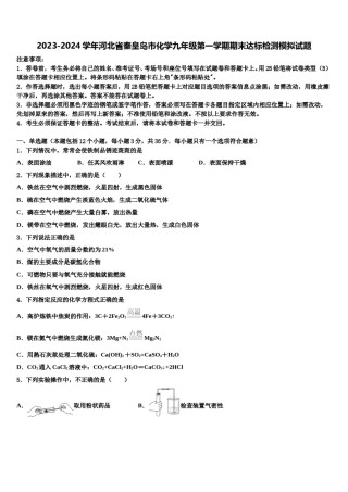 2023-2024学年河北省秦皇岛市化学九年级第一学期期末达标检测模拟试题含解析.doc